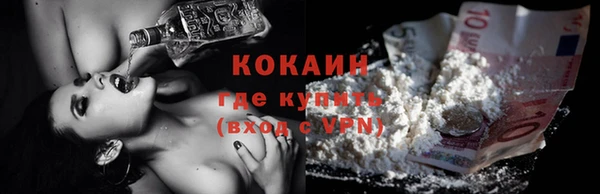 прущие грибы Пересвет