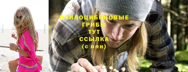 spice Балабаново
